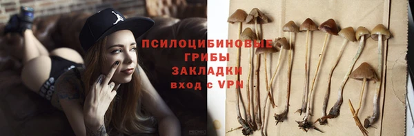 дурь Абинск