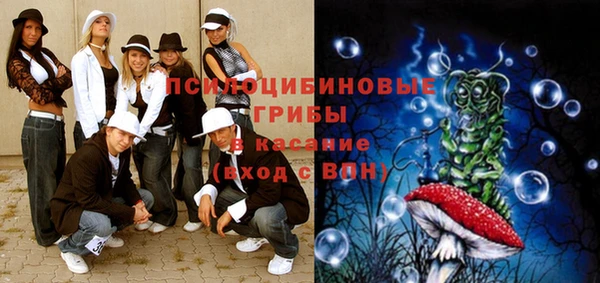 дурь Абинск