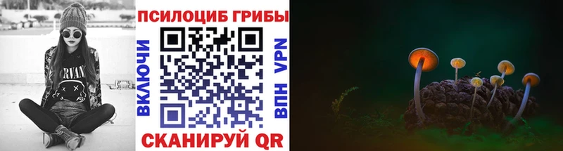Псилоцибиновые грибы ЛСД  наркотики  Лакинск 
